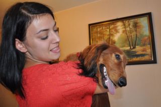 NADIM jamniki Kollapsar